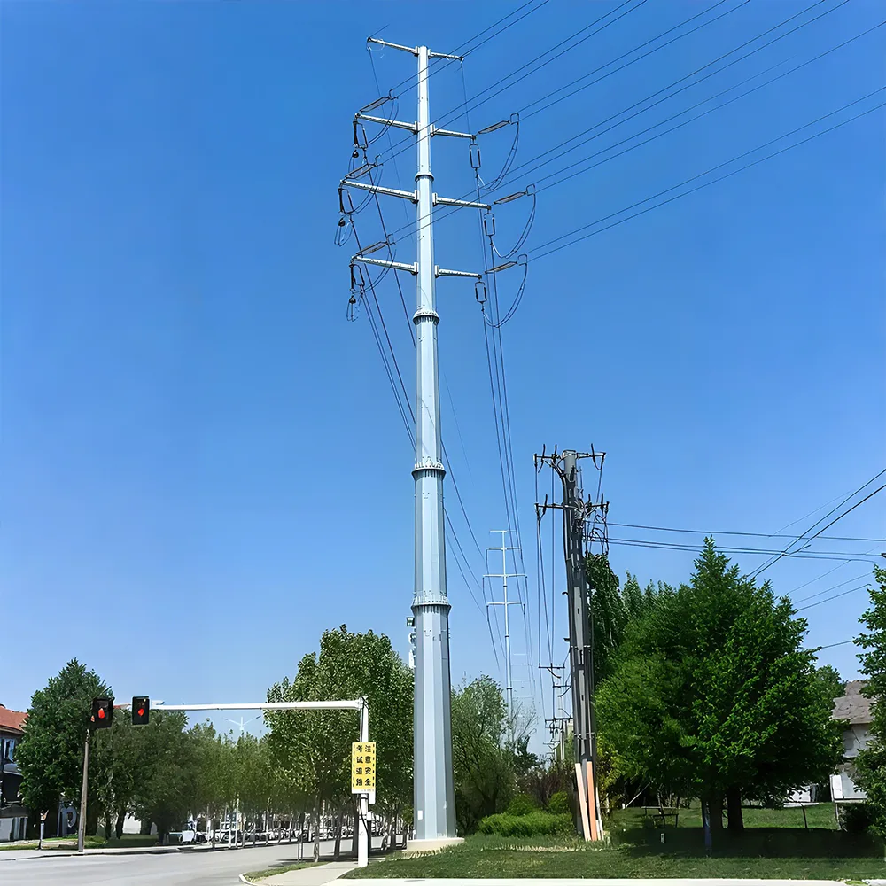 送電鉄塔と電柱